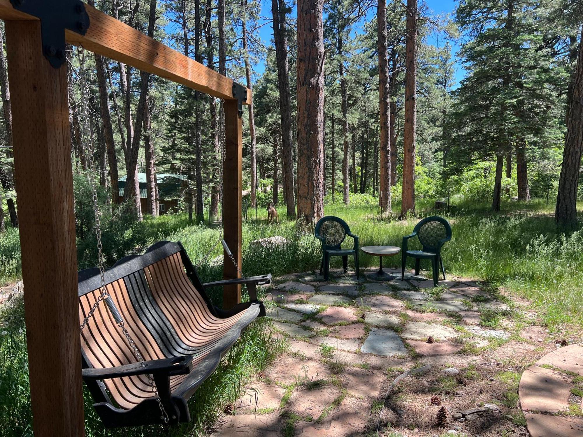 Cozy Cabin On The Creek Colorado City Luaran gambar